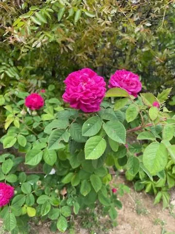 Mylofou Casa de Férias